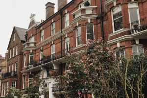 Row of 6 attached houses on a street. Trees with blossom on outside.