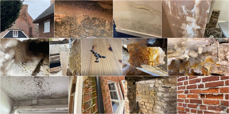 Multiple images of homes that have been damged by mould, damp, mildrew or timber problems.