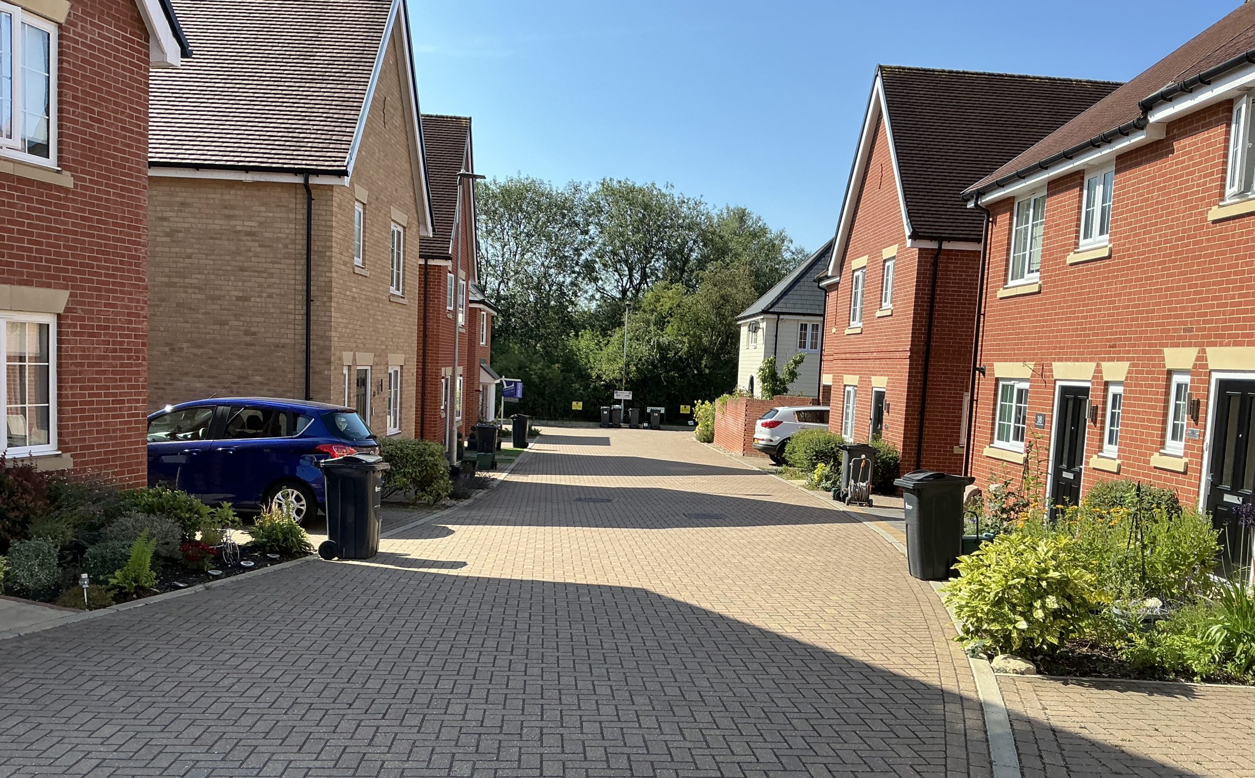 Halstead street shot